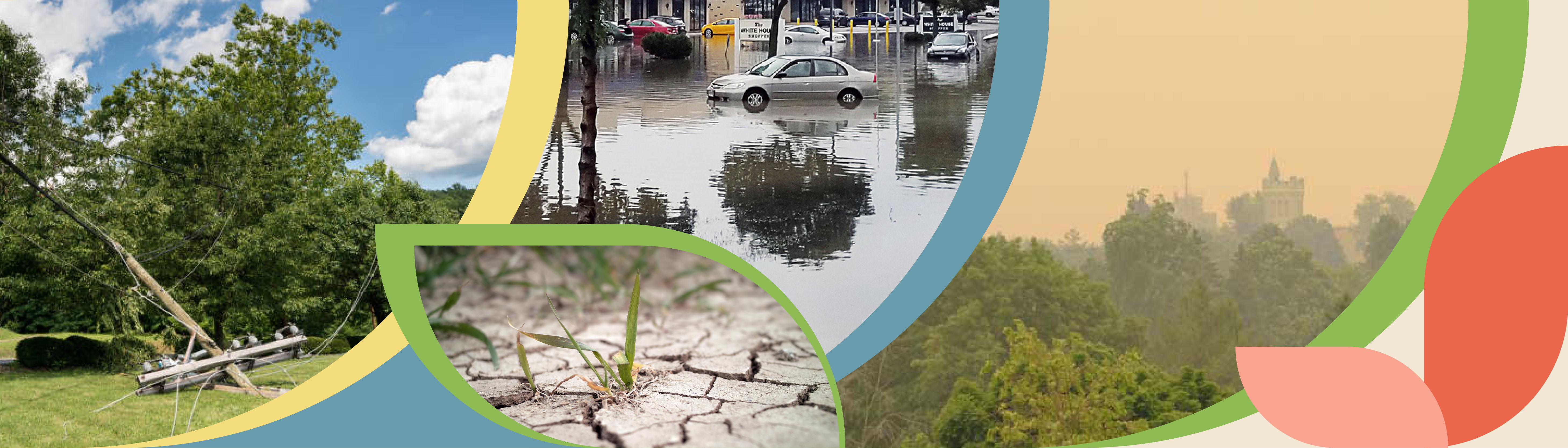 A broken telephone pole with downed power lines lying in the grass, cars parked in a flooded parking lot, grass struggling to grow in dry soil, and treetops with a hazy sky