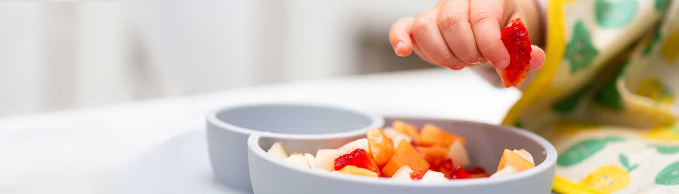 Introduction to solid foods