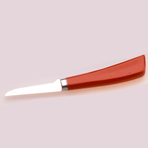 pairing knife