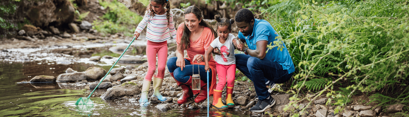 Family of four catching tadpoles with nets streamside